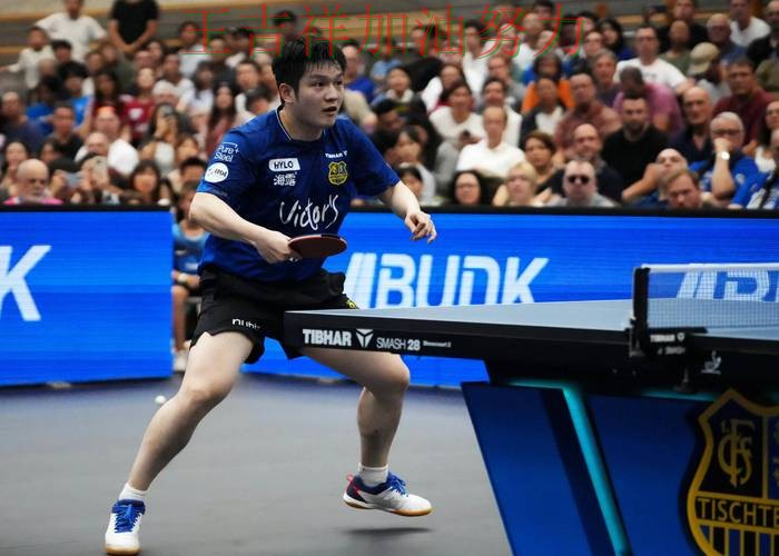 樊振东在西甲中高效输出展现核心价值 成为本轮最大看点